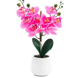 Meet your Posher, Raquel